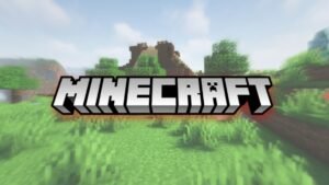 Read more about the article معلومة غريبة تكشفها لعبة minecraft